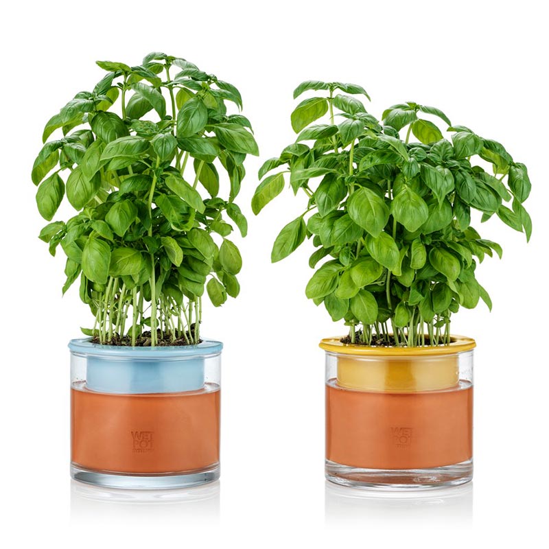 pots automomes wet pot small bleu et jaune avec leur vase en verre servant de réserve d'eau