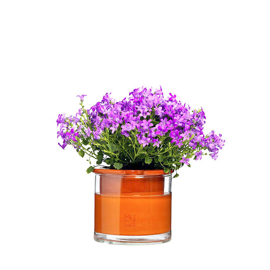wet pot small complet avec réserve d'eau en verre