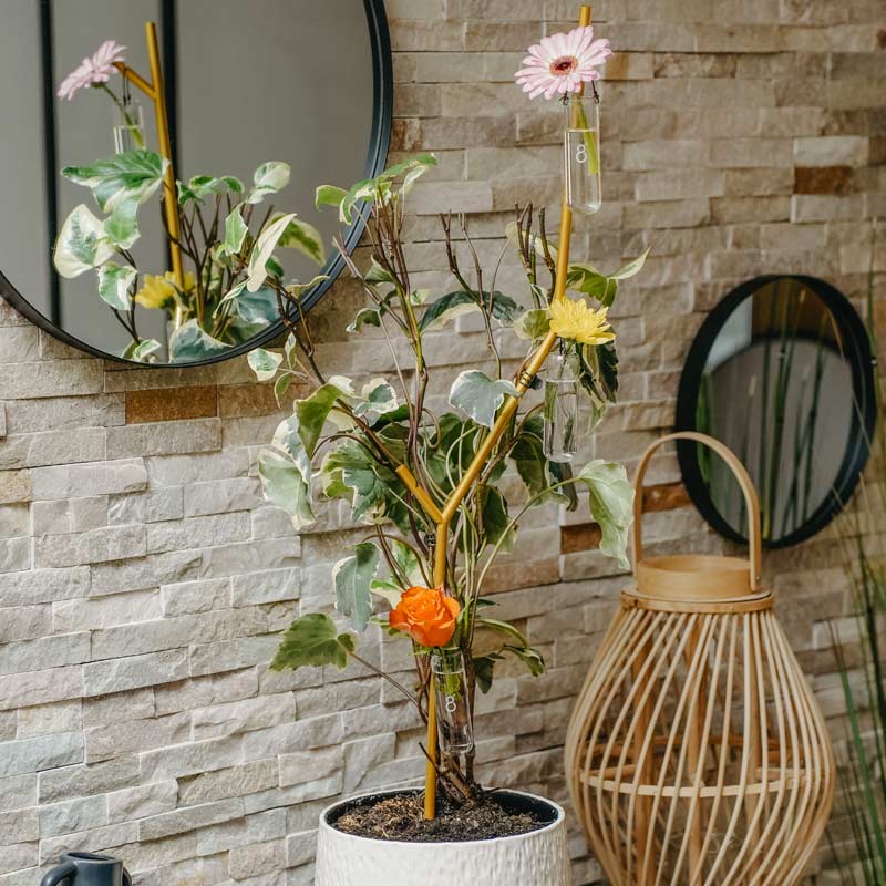 Tuteur air branch greenfinity pour maintenir et décorer ma plante d'intérieur