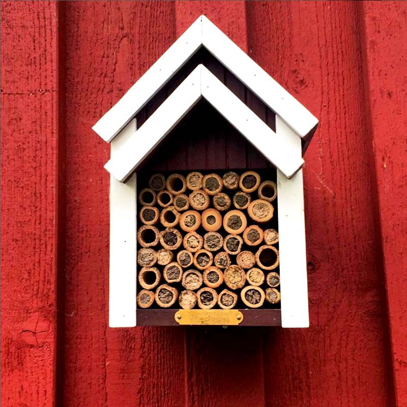 hôtel à abeilles rempli pour cette saison