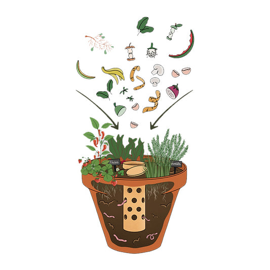 mettez vos épluchures dans le lombricomposteur et laissez les vers de compost faire leur travail