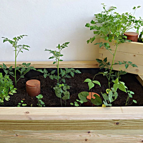 écosystème naturel créé dans une jardinière avec lombricomposteur bioclimakit 1,2L