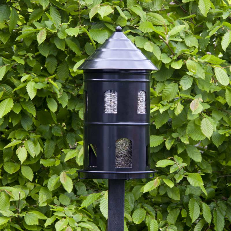 grande mangeoire à oiseaux remplie de graines variées pour nourrir les oiseaux en hiver