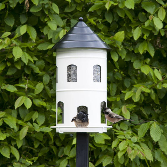 mangeoire à graines adaptée pour nourrir les petits oiseaux du jardin