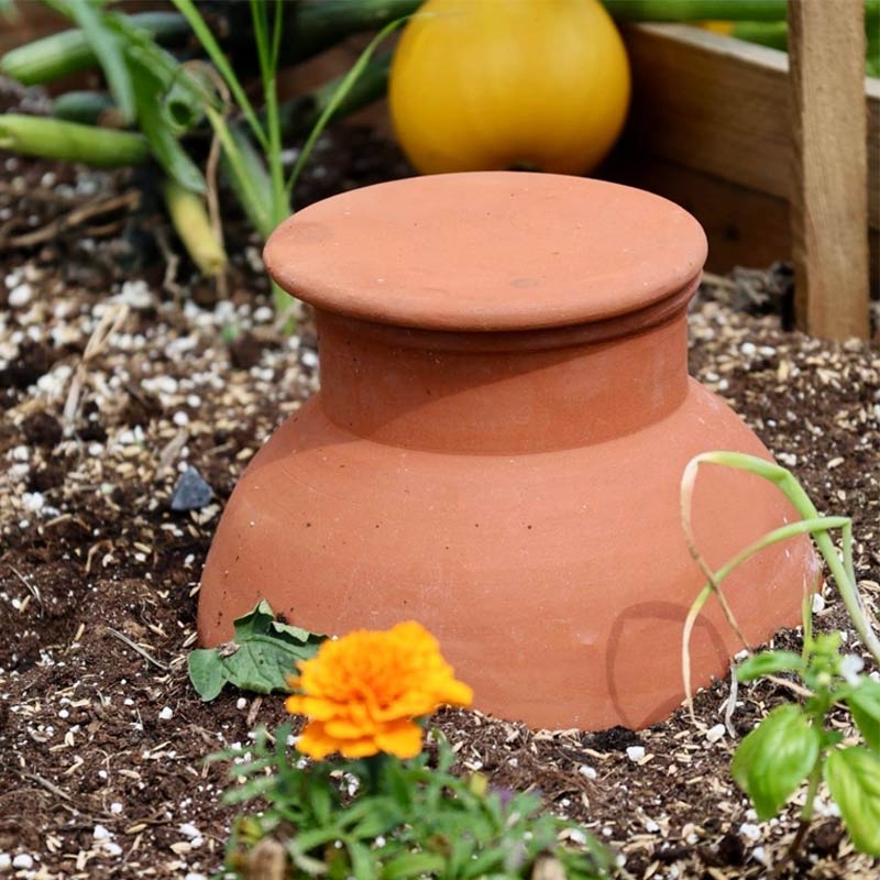 Olla en terre cuite pour arroser automatiquement les plantations avec une faible consommation d'eau