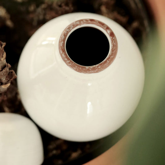 olla blanche, poterie d'arrosage artisanale pour des plantes parfaitement arrosées