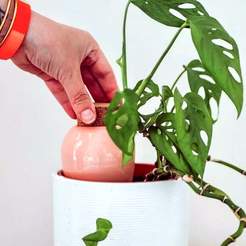 olla pepin rose avec bouchon en liège
