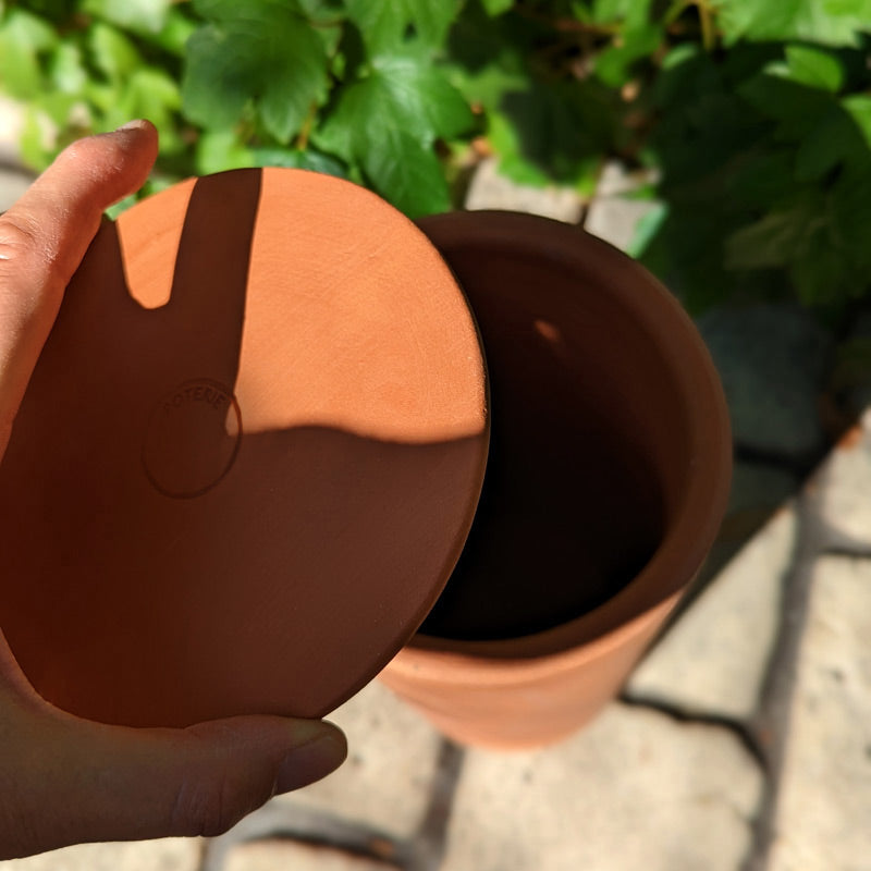 Les ollas tubes d'arrosage irriguent le potager sur un diamètre d'environ 80cm