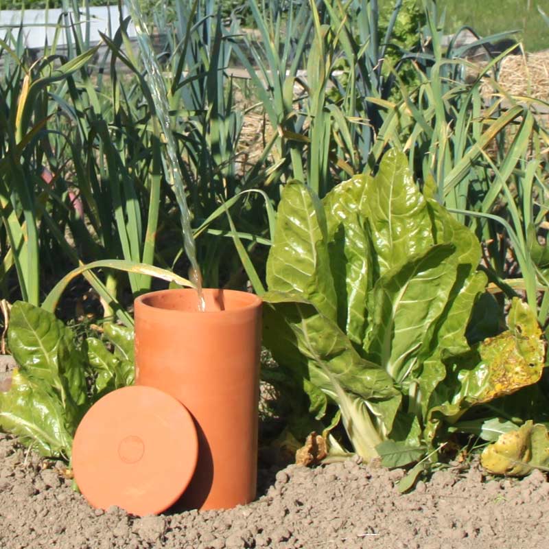 La poterie d'irrigation Tube 6L permet un arrosage efficace et autonome des plantes du potager