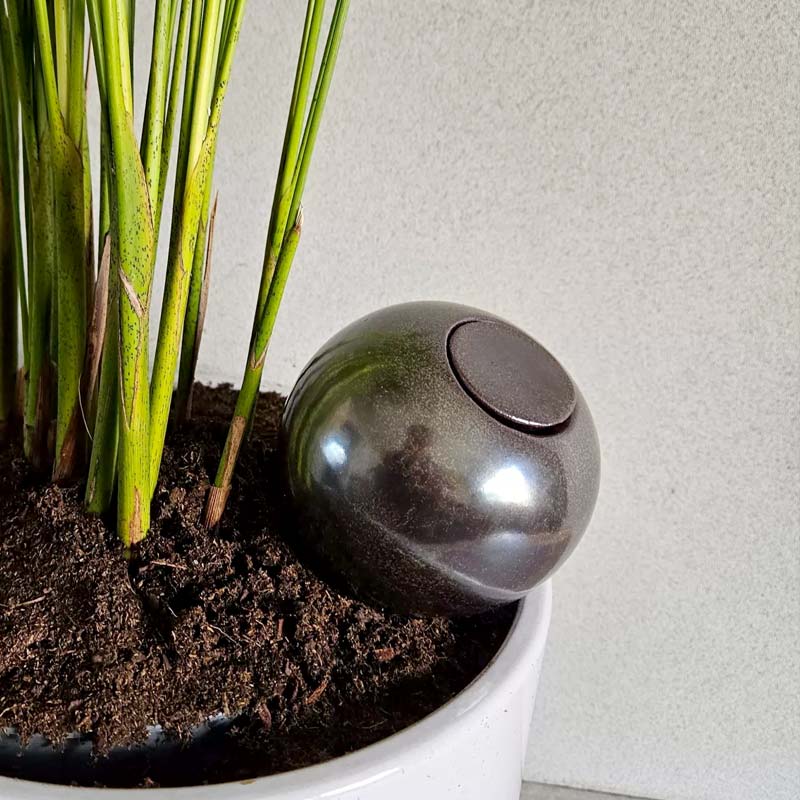 ollas métallique argentée, à la fois utile et déco pour un arrosage autonome des plantes