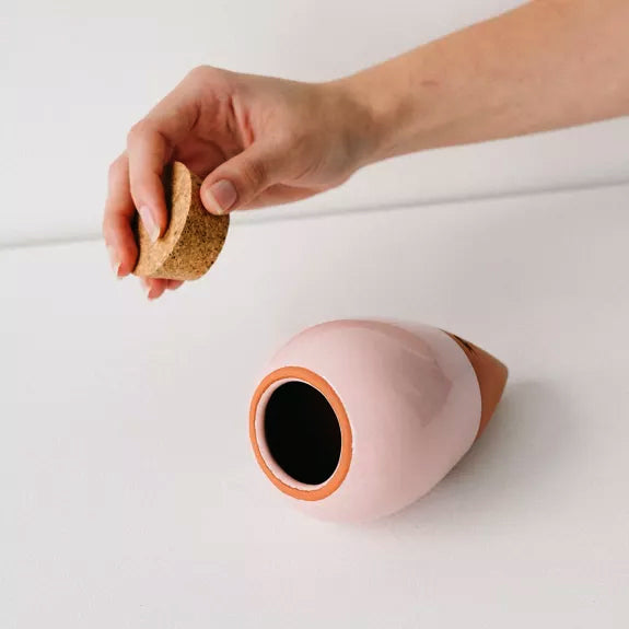 oya pepin rose pour un arrosage maitrisé et progressif des plantes