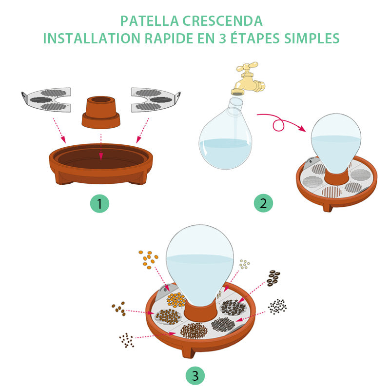 Germoir autonome "Patella Crescenda" pour cultiver vos micro-pousses - Élégant et original en terre cuite naturelle