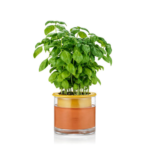 pot à réserve d'eau en céramique wet pot S jaune