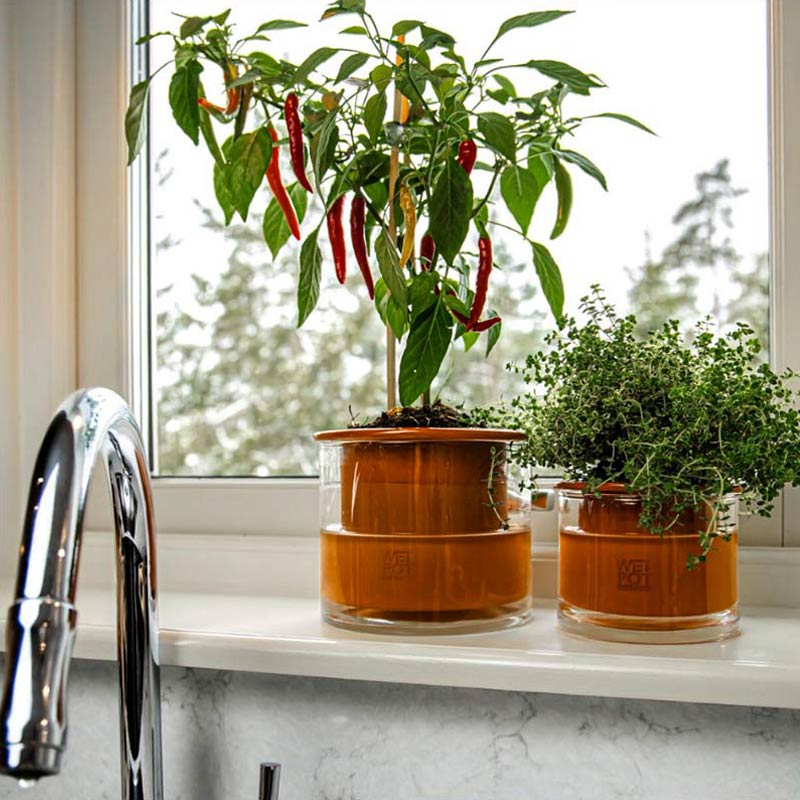 pot auto arrosant wet pot taille M et wet pot taille S dans une cuisine