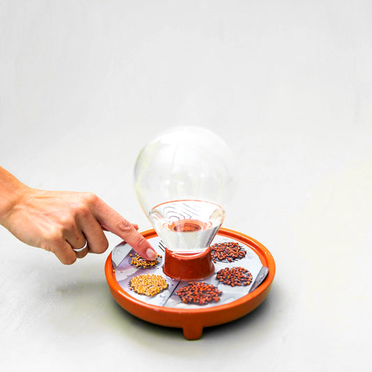 Germoir autonome "Patella Crescenda" pour cultiver vos micro-pousses - Élégant et original en terre cuite naturelle