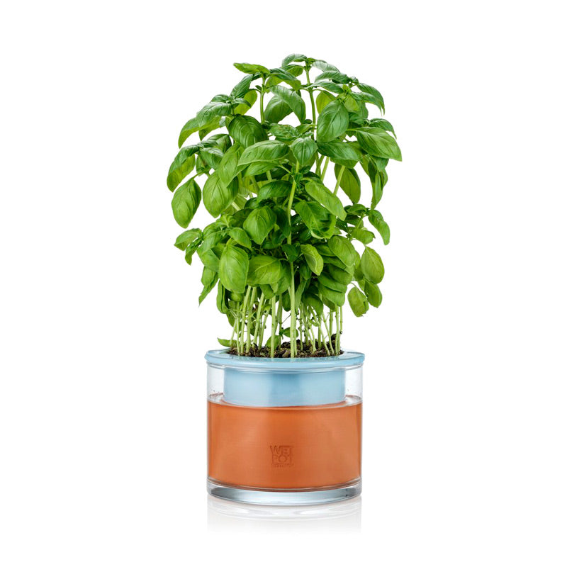 le wet pot s de Wet Pot Systems est désormais disponible en bleu