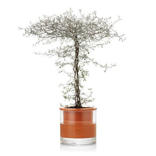 pot en terre cuite élégant et naturel WET POT taille m