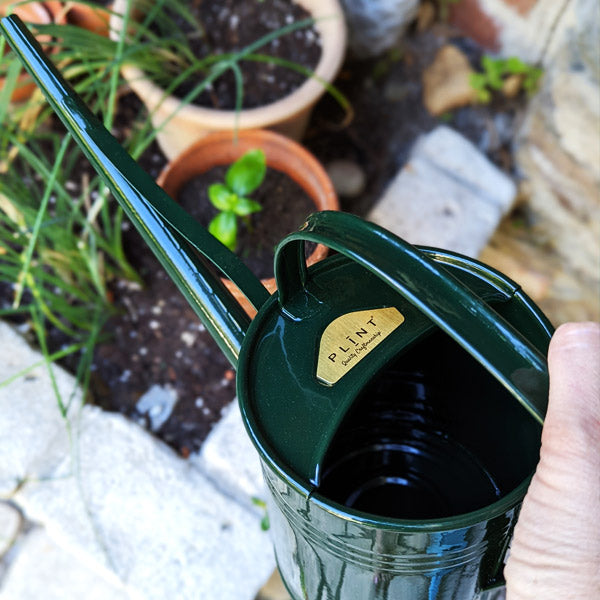Arrosoir Plint 1,5L vert, fin pour un arrosage précis