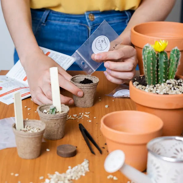 Le kit Cultivea wild cactus contient tout le nécessaire pour faire pousser de jolis cactus. Offrez ce kit amusant et original à vos proches