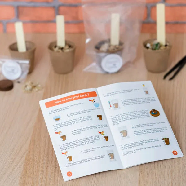 Faites pousser de jolis cactus avec le kit Cultivea Wild Cactus. Le manuel d'instructions vous guide pas à pas pour réussir vos semis et obtenir de beaux cactus