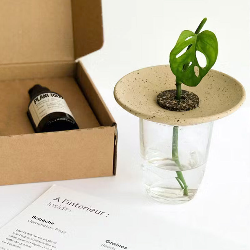coffret contenant tout le nécessaire pour faire germer des graines et des noyaux (glands, noisettes, avocats...) ainsi que les boutures de vos plantes favorites