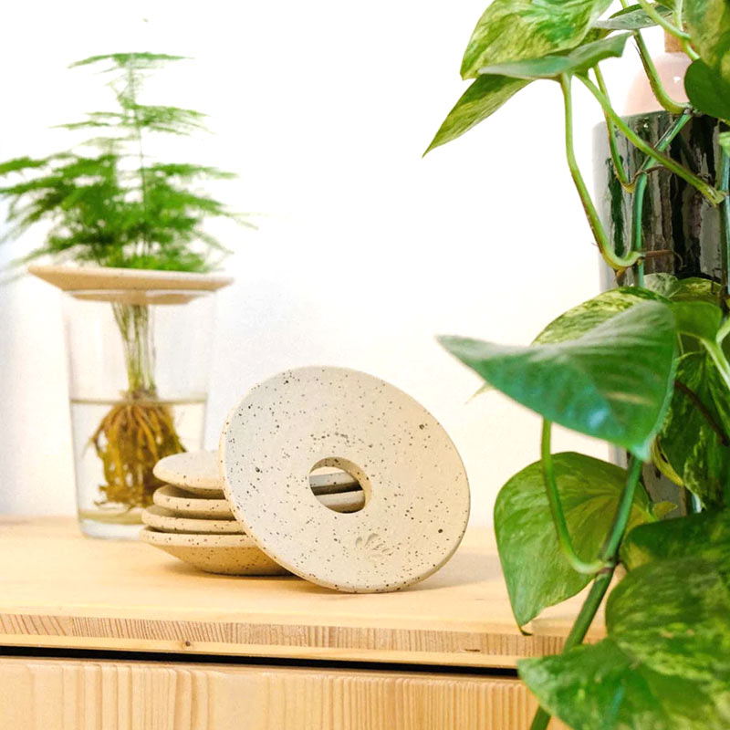 coupelles durables en grès pour la croissance des plantes