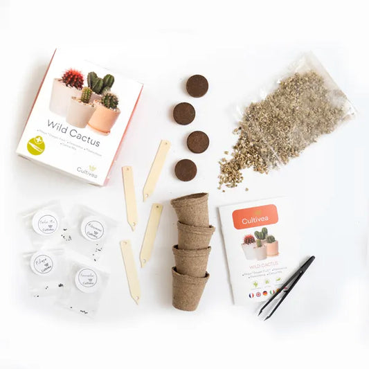 kit complet cultivea pour faire pousser 4 jolis cactus en toute simplicité
