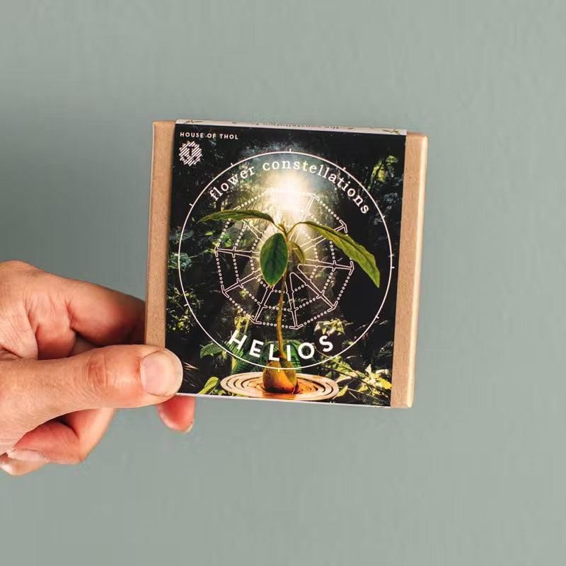 cadeau green idéal pour les amoureux des plantes qui souhaitent voir pousser leurs propres plantes à partir de bulbes ou de noyaux