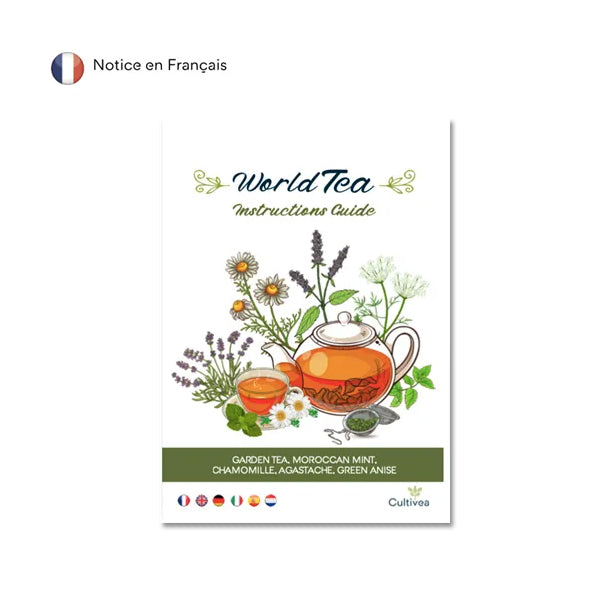 Kit de culture Thés et Infusions bio Cultivea Saveurs du Monde - Idée cadeau original