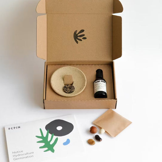 idée cadeau ludique et originale pour se familiariser avec l'hydroculture. Ce joli kit permet de faire germer soi-même divers types de plantes, graines et noyaux