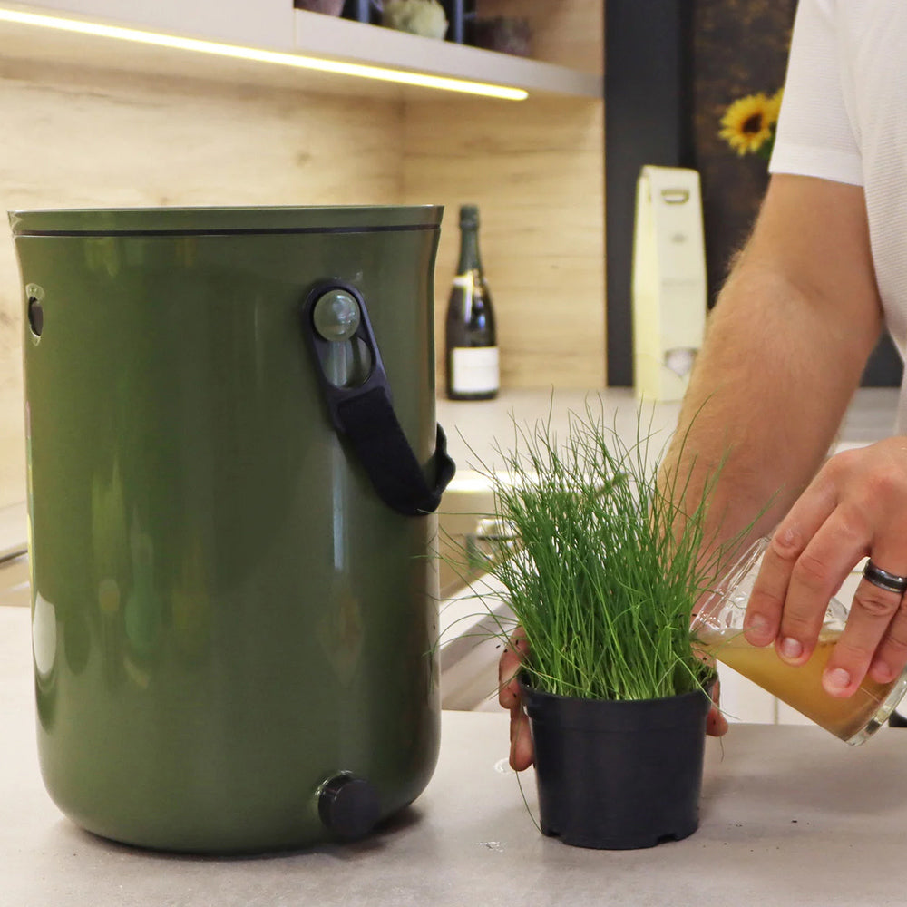 le thé de compost de mon bokashi est très riche. Dilué dans l'eau d'arrosage, mes plantes n'ont jamais été aussi belles et épanouies