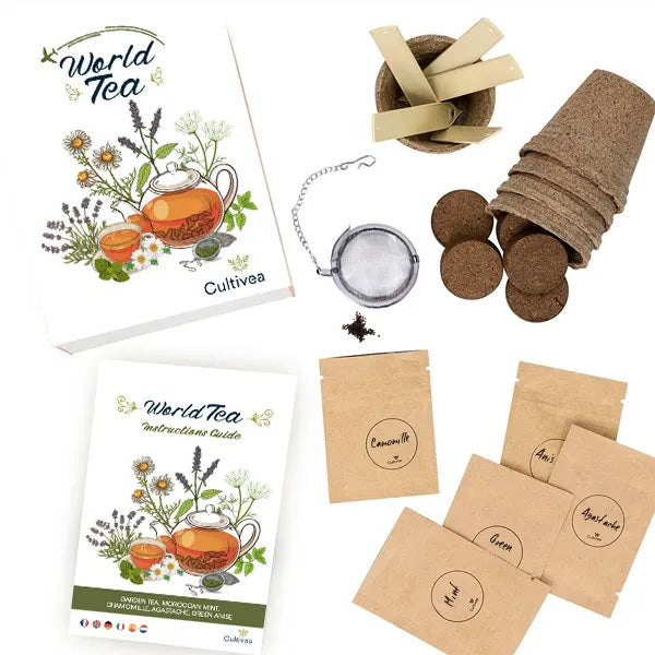 kit complet prêt à pousser Cultivea thés du monde pour cultiver soi-même les feuilles de thés et d'infusions bio et garanties sans traitement