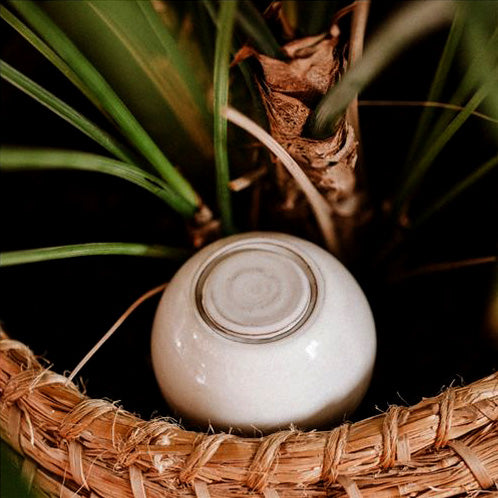 La porosité des Ollas permet à l’eau de s’échapper doucement et directement au niveau des racines des plantes