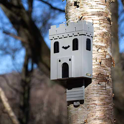 abri à chauves souris pour préserver cette espèce en danger. Nichoir à chauve souris adapté à leur besoins, fabriqué à partir de bois de qualité