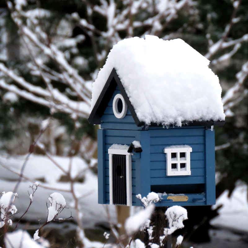 Nichoir mangeoire Multiholk maison bleue Wildlife Garden WG118