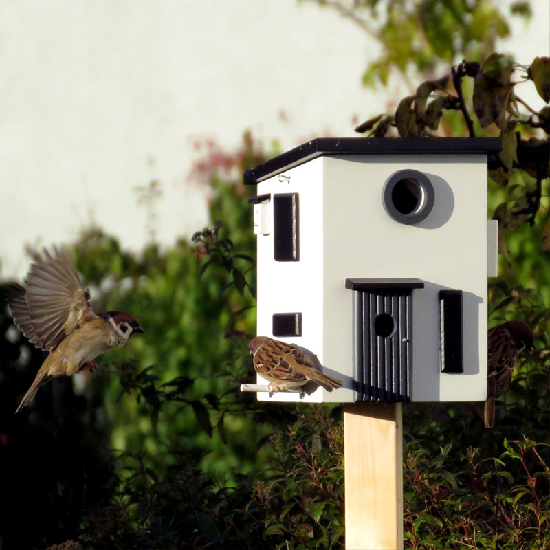 un nichoir au look incomparable, à la fois charmant et moderne avec tous ses petits détails colorés. Le nichoir Wildlife Garden est, en même temps, une cabane à oiseaux de qualité, pratique et adaptée aux besoins des oiseaux, et un superbe objet déco pour le jardin