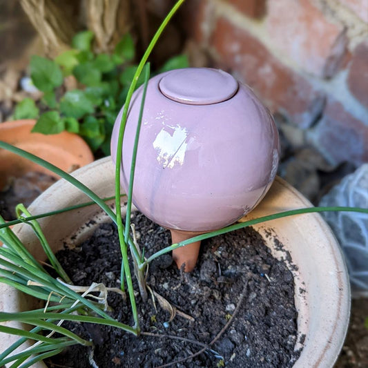 petite olla ou oya rose d'une contenance de 20-25cl pour arroser les plantes en pot