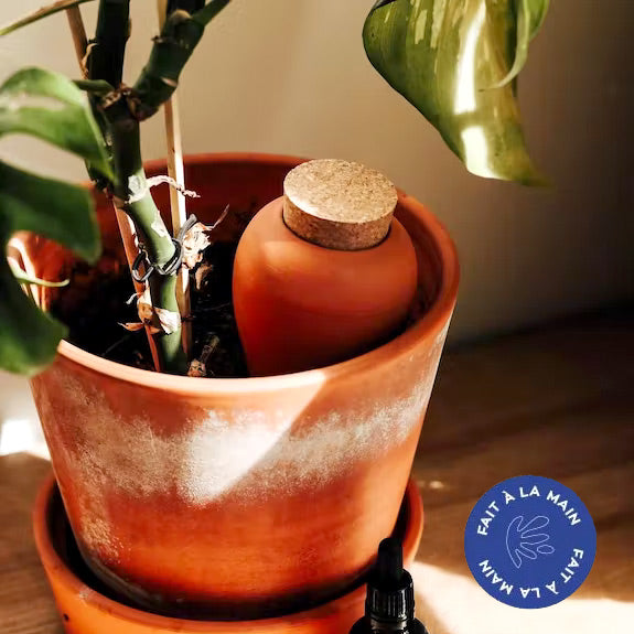 Pepin Oya Terracotta voor aanplant, 2 stuks, automatische en milieuvriendelijke irrigatie voor planten binnen en buiten, terracotta en wit gekorreld, 25 cl Pepin Oya Terracotta voor aanplant, 2 stuks, automatische en milieuvriendelijke irrigatie voor planten binnen en buiten, terracotta en wit gekorreld, 25 cl