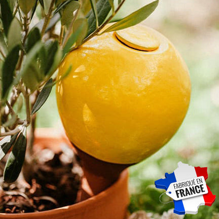 ollas / oyas en terre cuite émaillée jaune 40cl poterie artisanale lutton