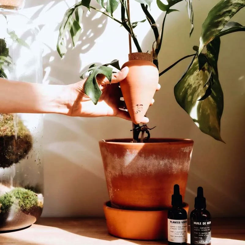 olla artisanale Pépin en terre cuite naturelle pour l'arrosage et l'entretien des plantes d'intérieur