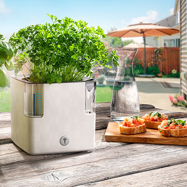 pot pour plante Pot auto-irrigant pour plante ou aromatique Cobble Uno