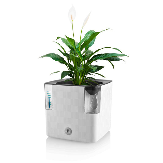 pot auto irrigant pour herbes aromatiques (basilic, menthe, romarin...) ou pour une plante verte ou une plante à fleurs. Plus besoin d'arroser, l'arrosage se fait tout seul dans le pot cobble uno. Un témoin indique le niveau d'eau