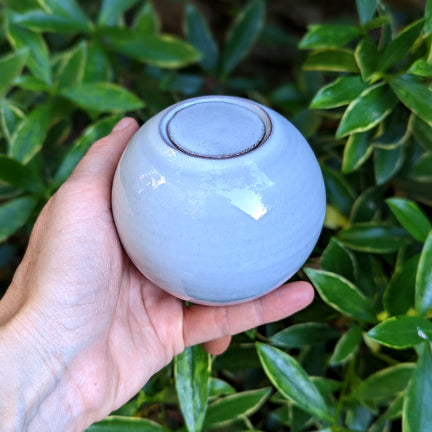 Dans le jardin, sur un balcon, ou dans la maison, les ollas doivent être plantées dans des pots ou jardinières pour l'arrosage des plantes