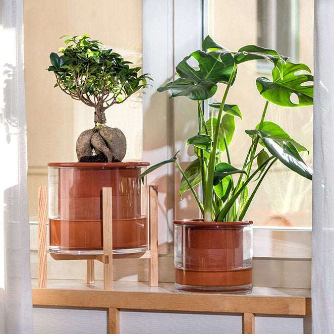 Wet Pot L + Support de plante Wet Pot Rack - taille L
