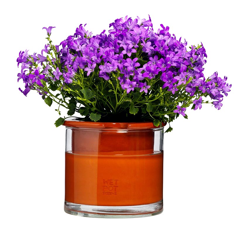 wet pot taille S avec plante fleurie. Pot intelligent avec réserve d'eau qui facilite l'entretien des plantes