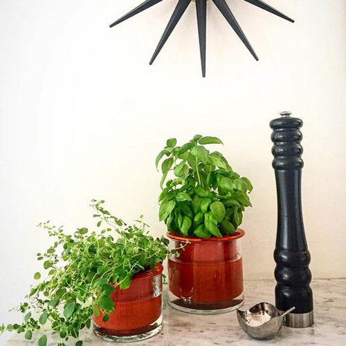 Pot à réserve d'eau en céramique WET POT taille S