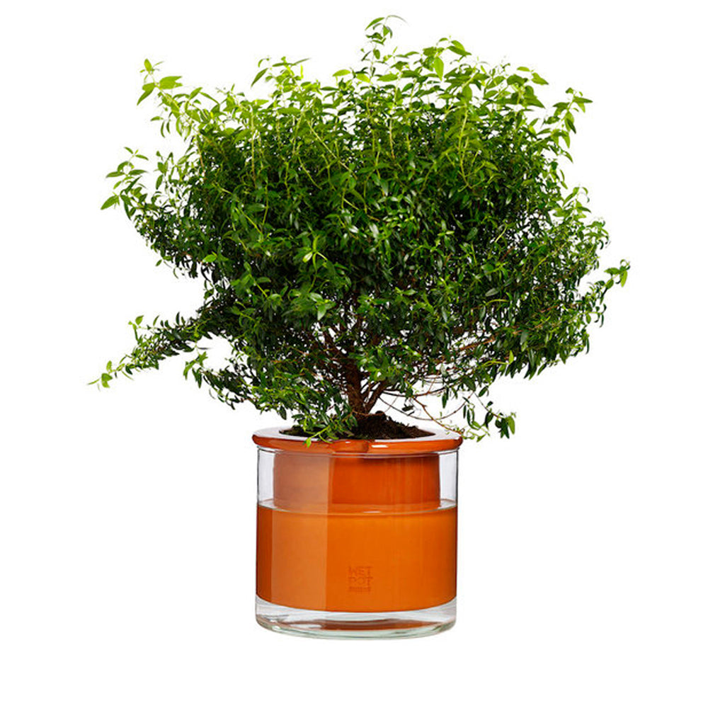 pot intelligent pour plantes wet pot medium