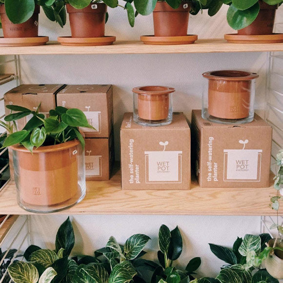 pots à réservoir d'eau WET POT disponibles en 4 tailles XS S M L
