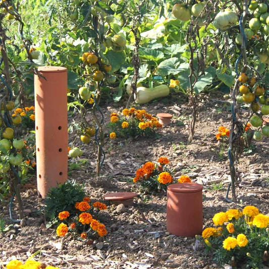 le composteur de jardin à enterrer transforme vos épluchures en engrais naturel directement dans la terre grâce à l'action des vers. Il permet de fertiliser les plantes environnantes de façon naturelle