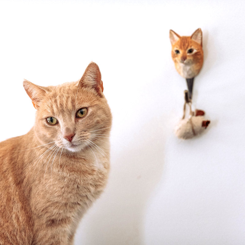 patère décorative à l'effigie d'un joli chat roux